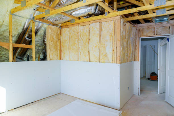 Best Insulation Repair Services  in Palestine, IL