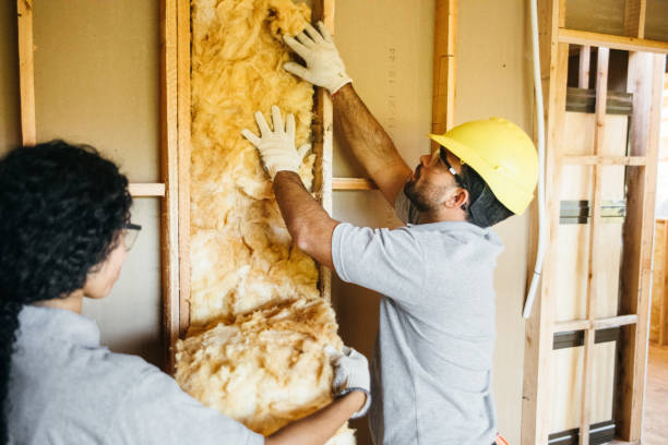 Range of Insulation Solutions in Palestine, IL