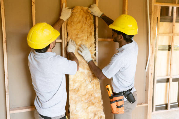 Best Insulation Replacement Services  in Palestine, IL