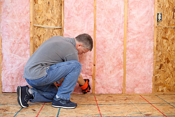 Best Attic Insulation Installation  in Palestine, IL