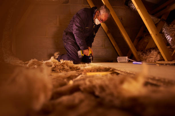 Best Insulation Inspection Services  in Palestine, IL