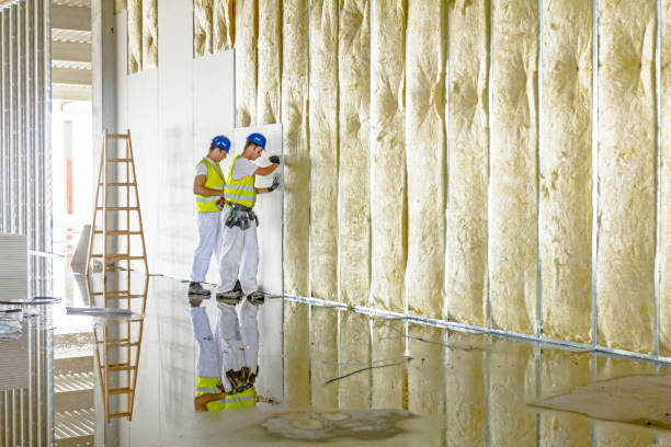 Insulation Inspection Services in Palestine, IL